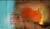 Disney DVD : Brother Bear 2 DVD