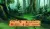 Disney DVD : Tarzan 2 DVD