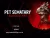 Paramount Plus DVD : Pet Sematary: Bloodlines DVD