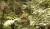 ITV DVD : I'm a Celebrity... Get Me Out of Here! Series Three DVD