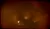 Netflix DVD : Abducted In Plain Sight DVD